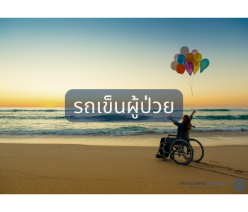 ö�繼����� Wheel Chair